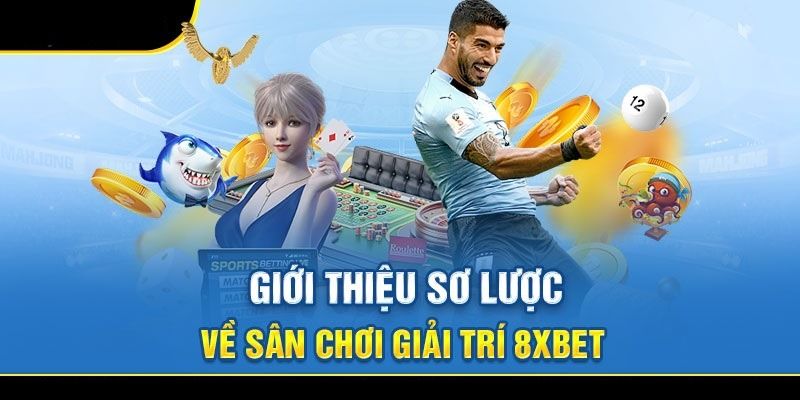 Tổng quan về nhà cái 8xbet