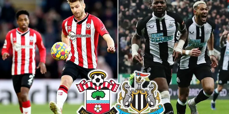 Tỷ số trận đấu Southampton vs Newcastle Utd theo phân tích chuyên gia 